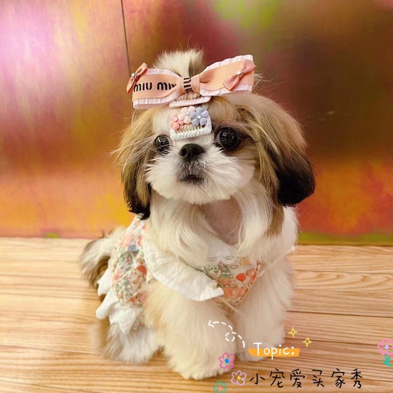 MiuMiu 犬用品 ヘアピン ドッグバレット 髪飾り キュート ピンク 少女 ...